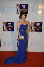 Sophie Chaudhary at Zee Awards red carpet in Mumbai on 6th Jan 2013,1 (59).JPG